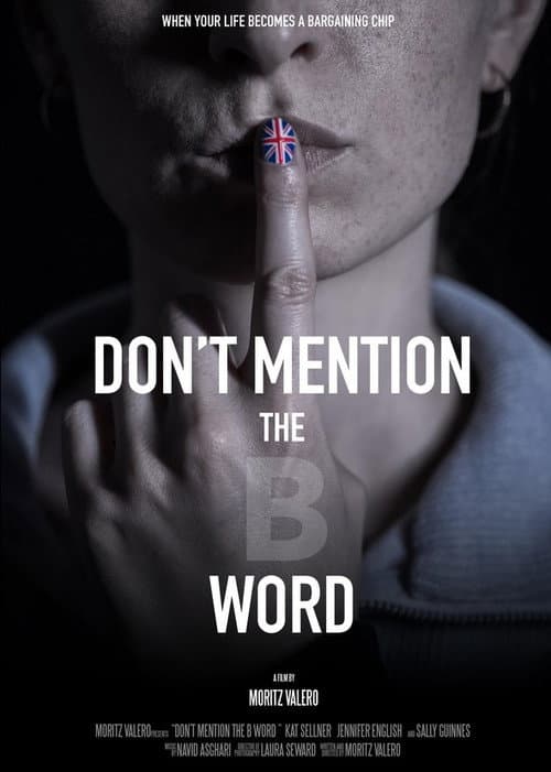 Poster for Don't Mention the B Word