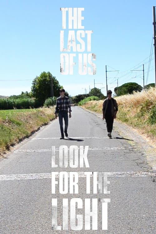 Poster for Look for the Light