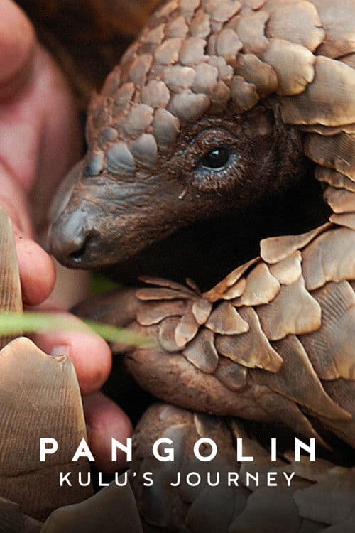 Poster for Pangolin: Kulu's Journey