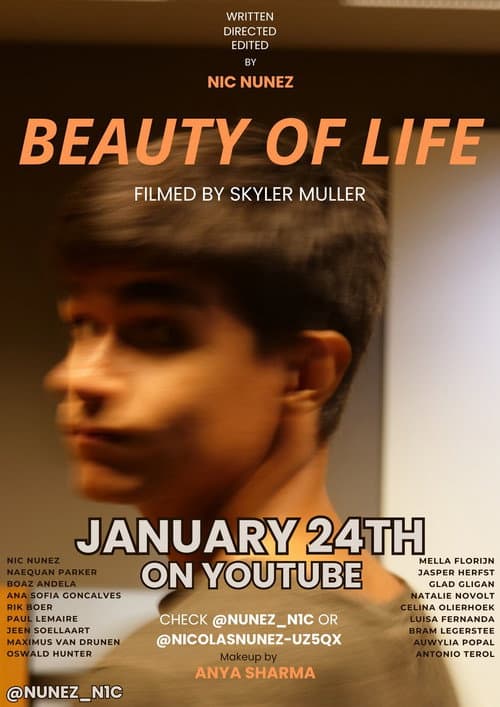 Poster for Beauty of Life