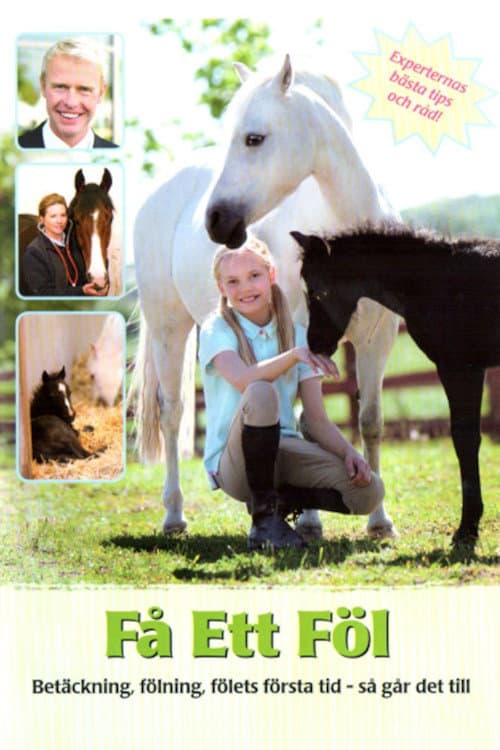 Poster for Få ett föl