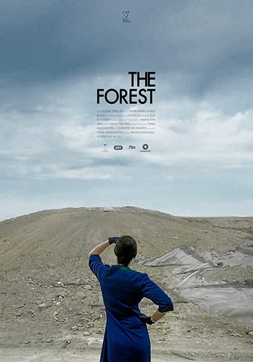 Poster for The Forest