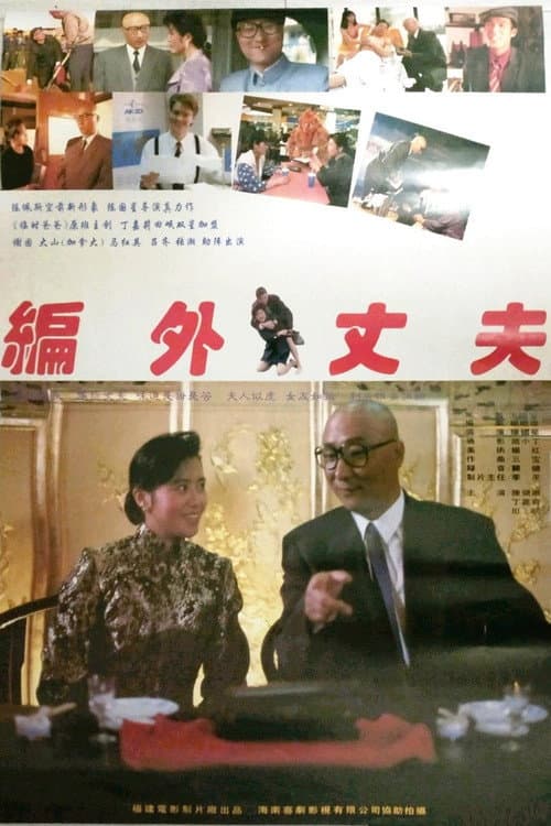 Poster for 编外丈夫