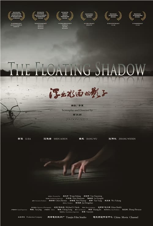 Poster for The Floating Shadow