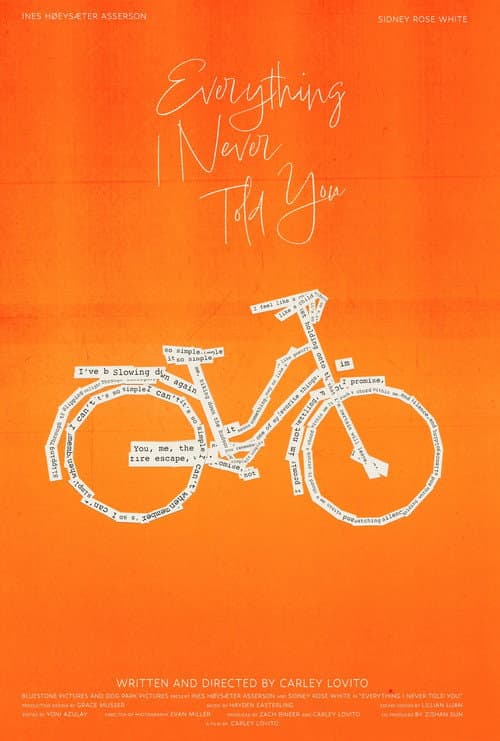 Poster for Everything I Never Told You