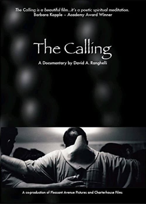 Poster for The Calling