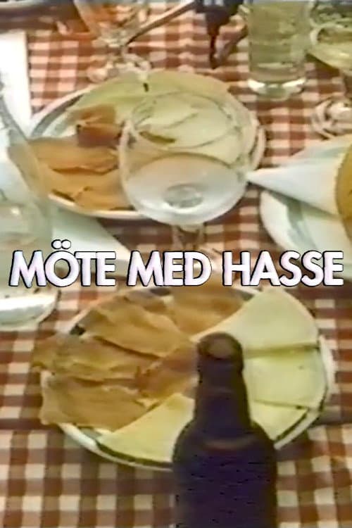 Poster for Meeting with Hasse