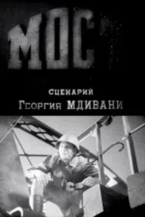 Poster for The Bridge