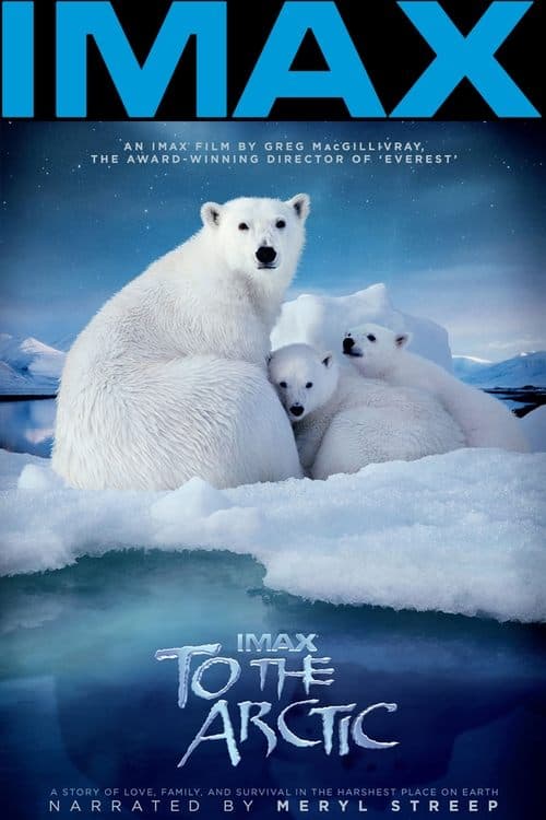 Poster for To the Arctic 3D