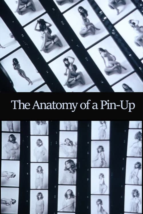 Poster for The Anatomy of a Pin-Up