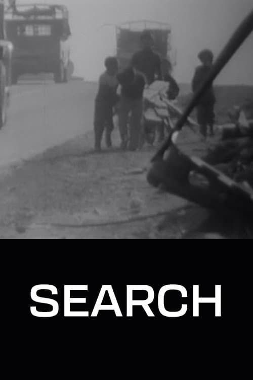 Poster for The Search