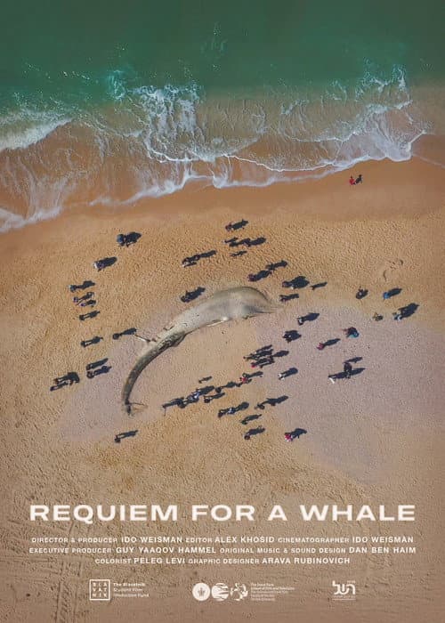 Poster for Requiem for a Whale
