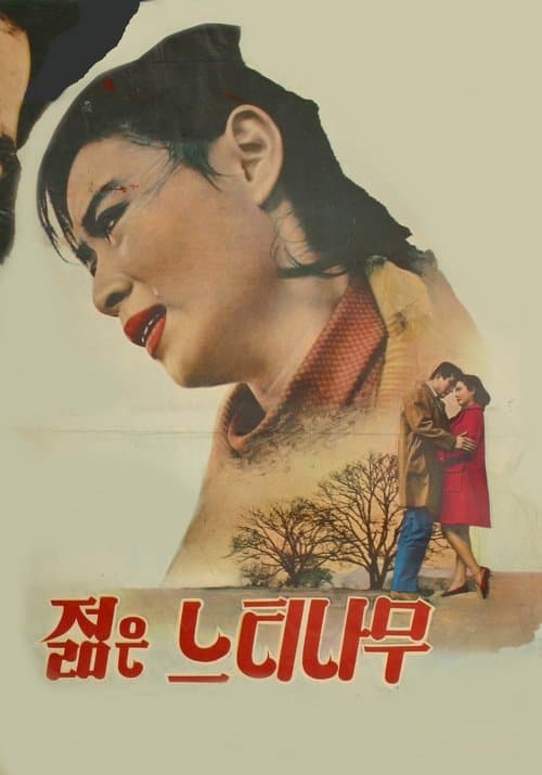 Poster for A Young Zelkova