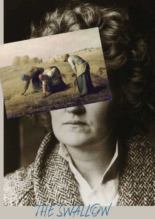 Poster for The Swallow