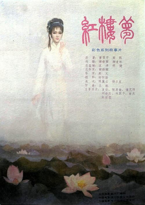 Poster for 红楼梦