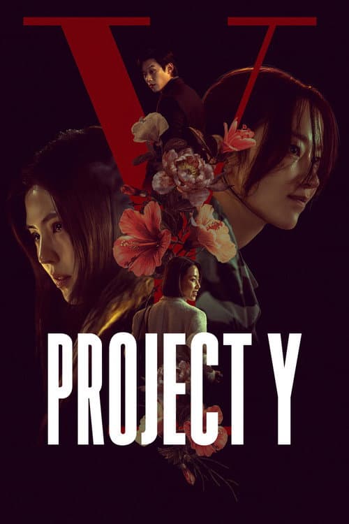 Poster for Project Y