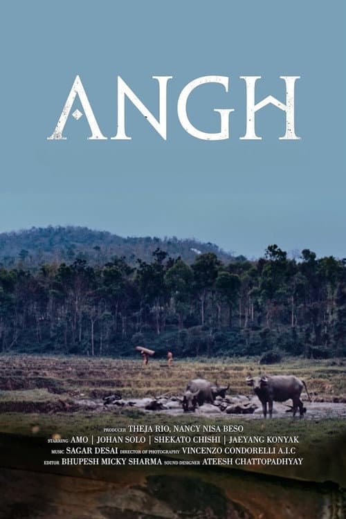 Poster for Angh
