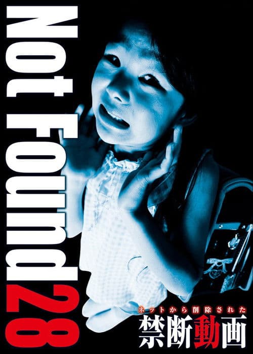 Poster for Not Found 28