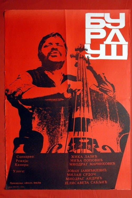 Poster for Burdush