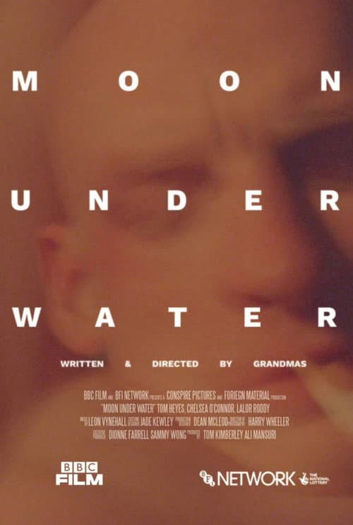 Poster for Moon Under Water