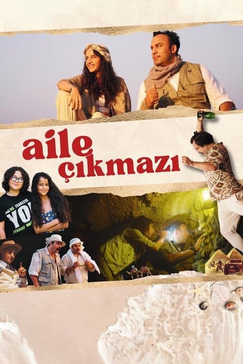 Poster for Aile Çıkmazı