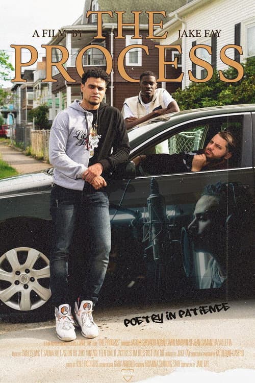 Poster for The Process