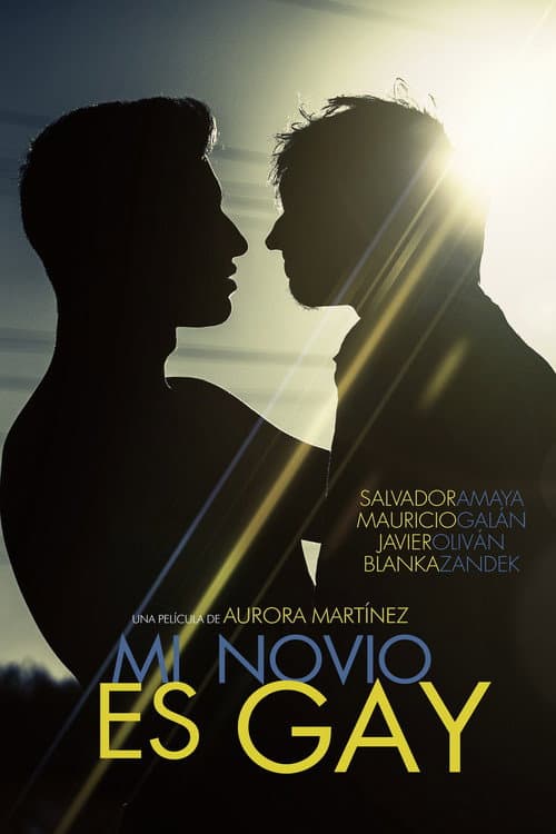 Poster for My Boyfriend Is Gay