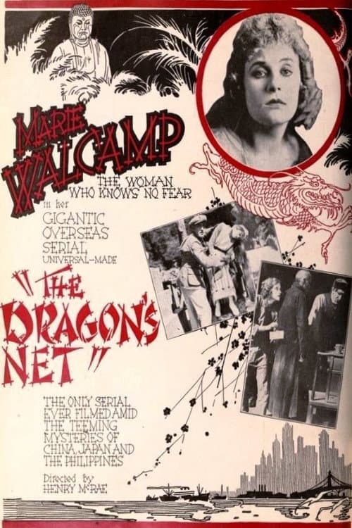 Poster for The Dragon's Net