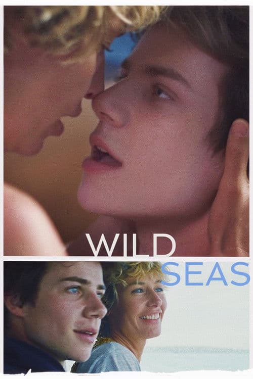 Poster for Wild Seas