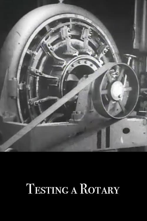 Poster for Testing a Rotary