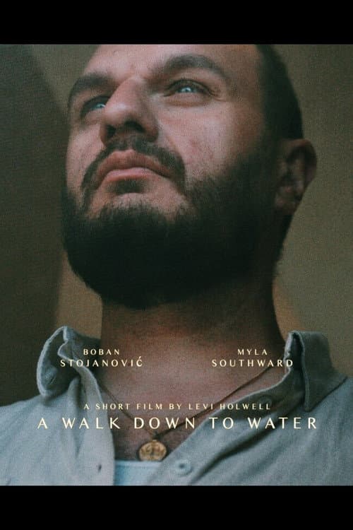 Poster for A Walk Down to Water
