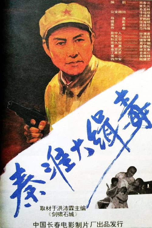 Poster for Seize Drg Smugglers in Qin Huai
