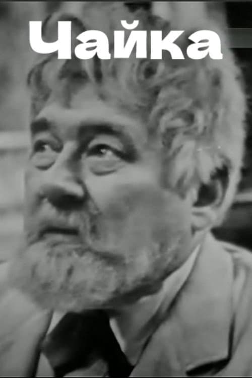 Poster for The Seagull