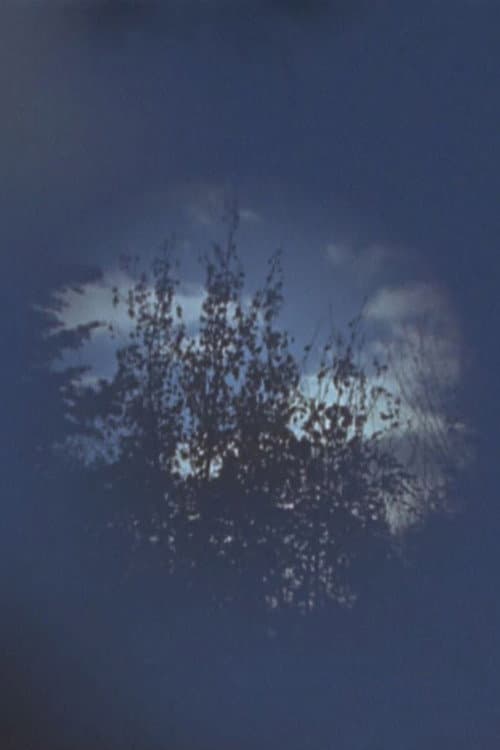 Poster for Within