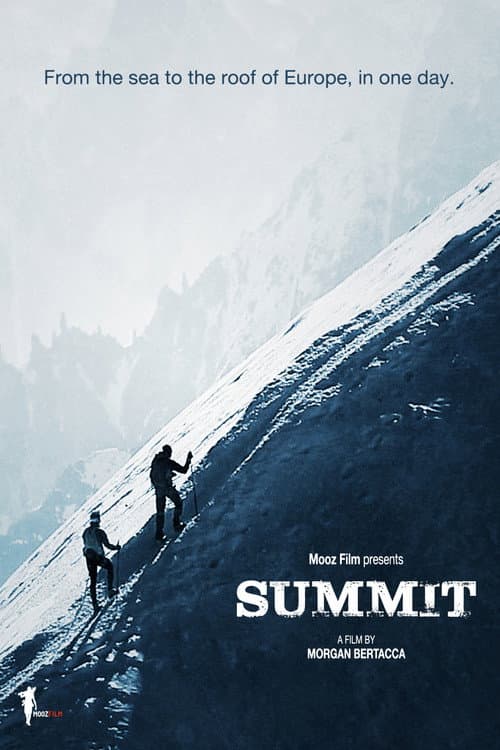 Poster for Nico Valsesia - From Zero To Monte Bianco - Summit