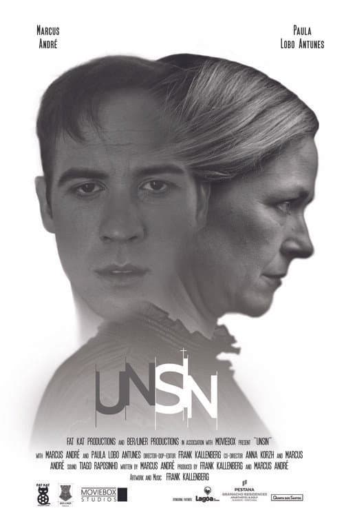 Poster for Unsin