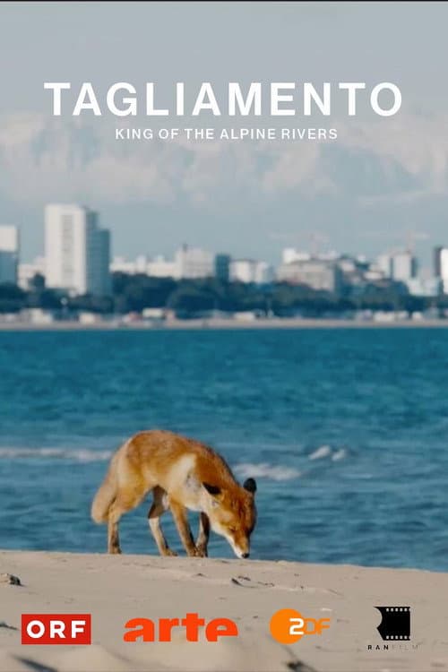 Poster for Tagliamento - King of The Alpine Rivers