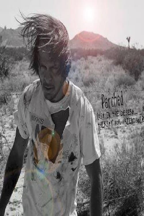 Poster for Lost in the desert, thirsty for friendship