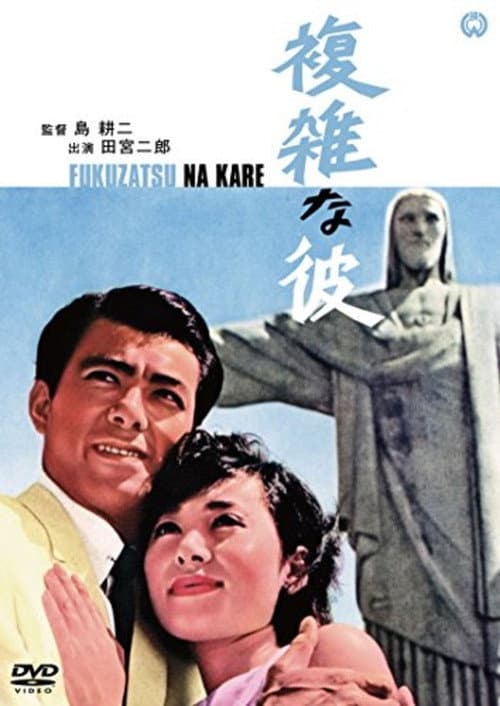 Poster for That Complicated Guy