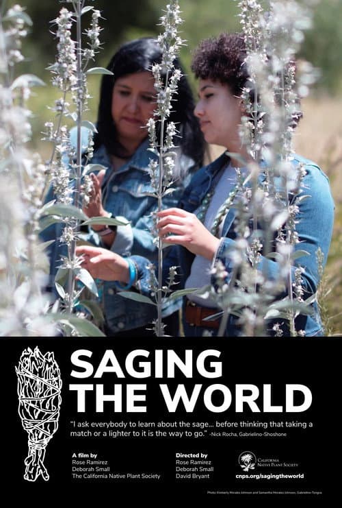 Poster for Saging the World