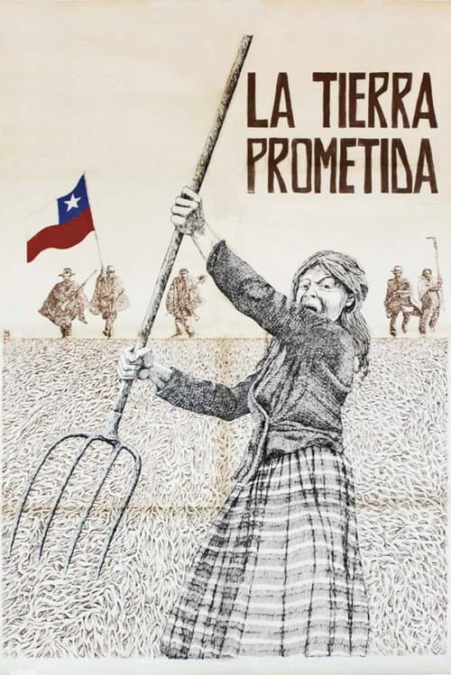 Poster for The Promised Land