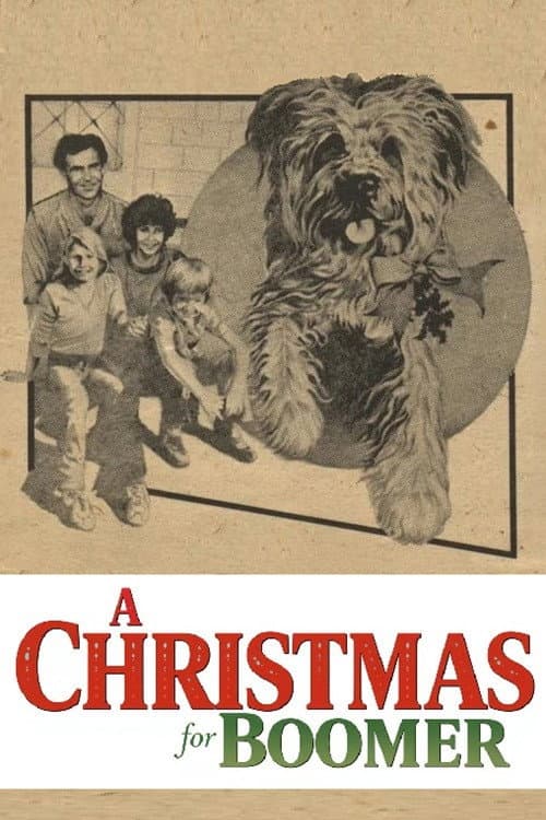 Poster for A Christmas for Boomer