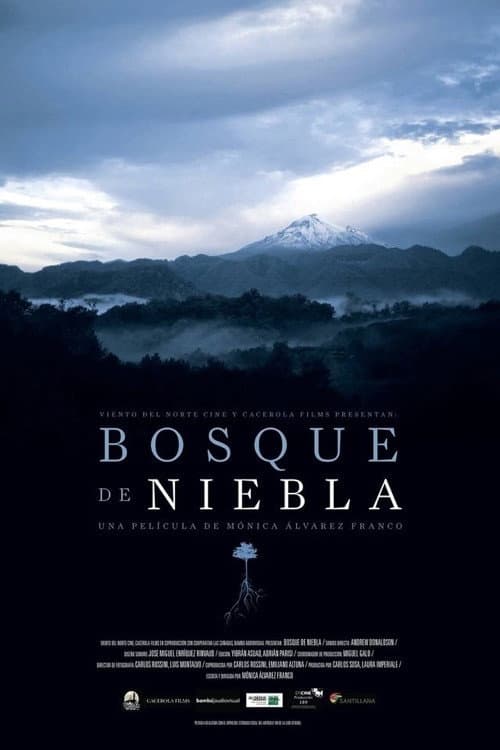 Poster for The Cloud Forest