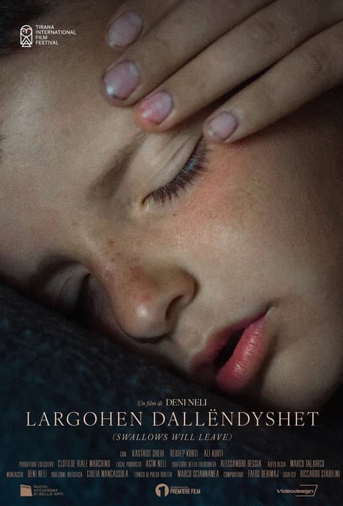 Poster for Largohen Dallëndyshet