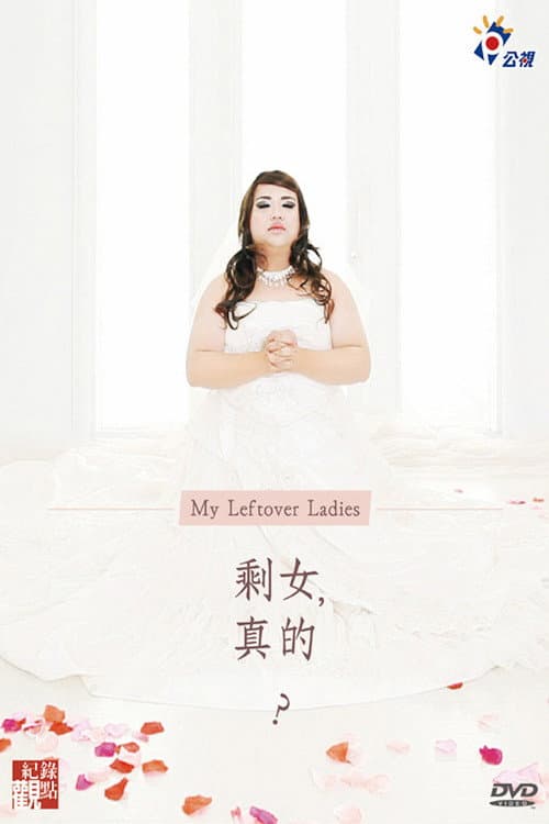 Poster for My Leftover Ladies