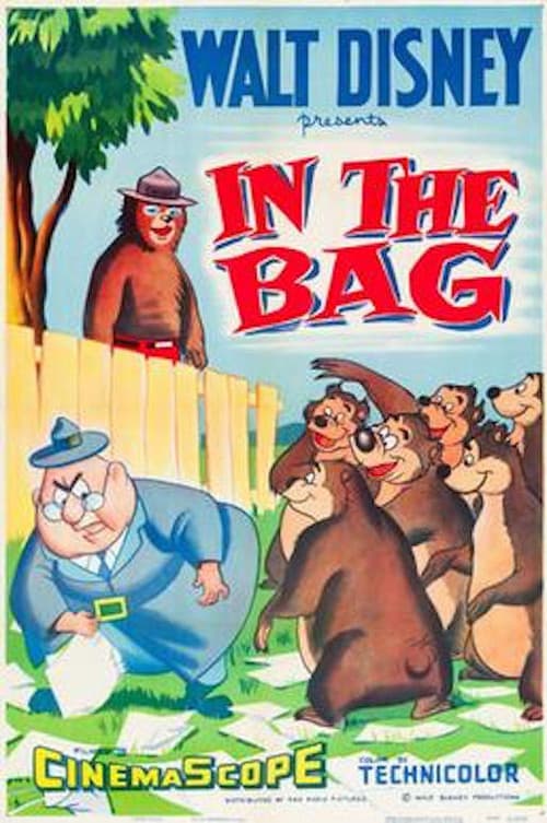 Poster for In the Bag