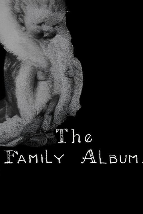 Постер до фільму «The Family Album»