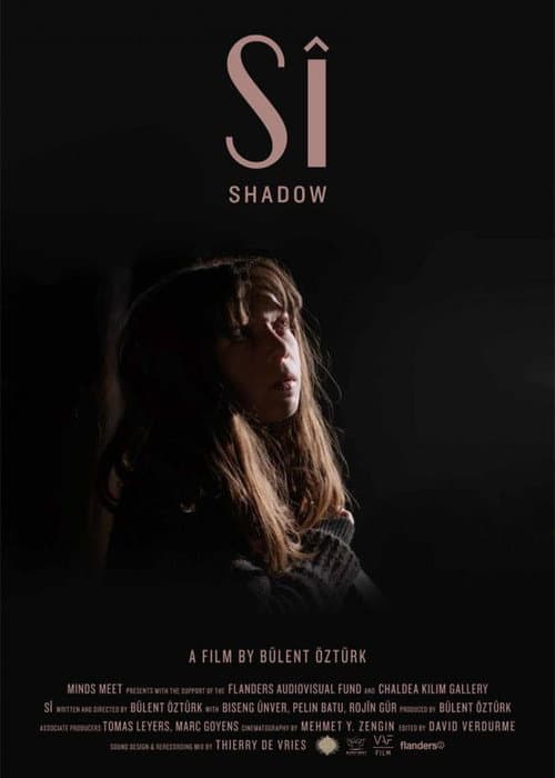 Poster for Shadow