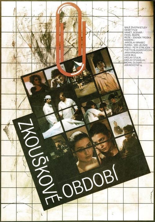 Poster for The Period of Examinations