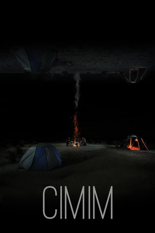 Poster for CIMIM
